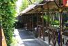 Saung